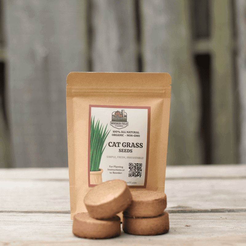 Cat Grass Grow Kit REFILL