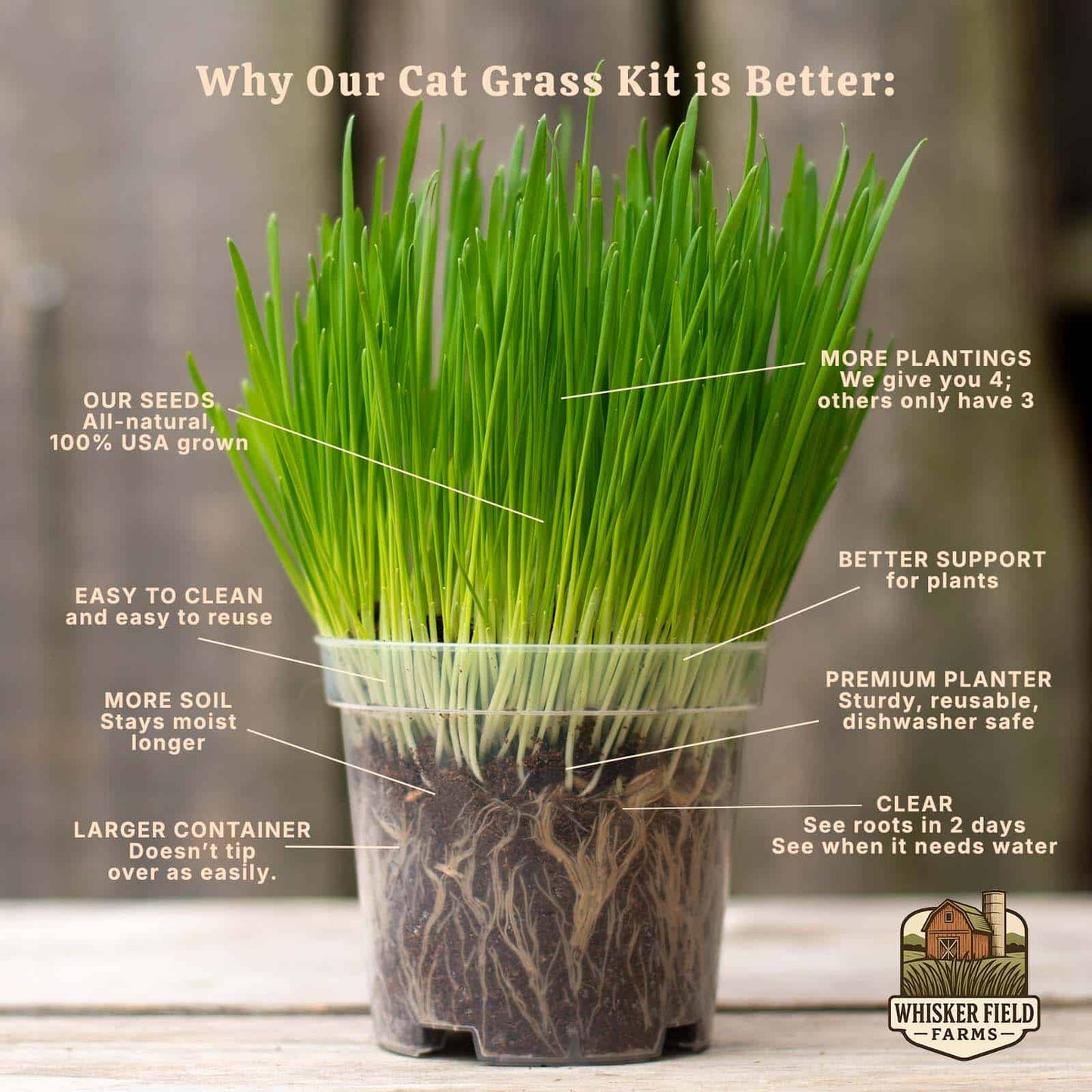 Cat Grass Grow Kit - Premium