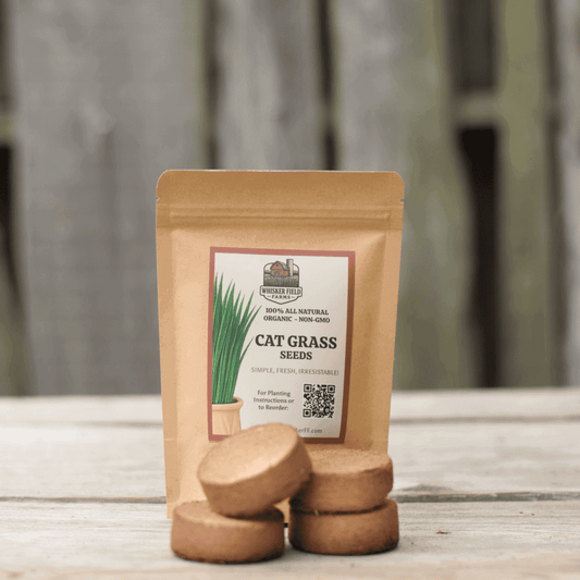 Cat Grass Grow Kit REFILL