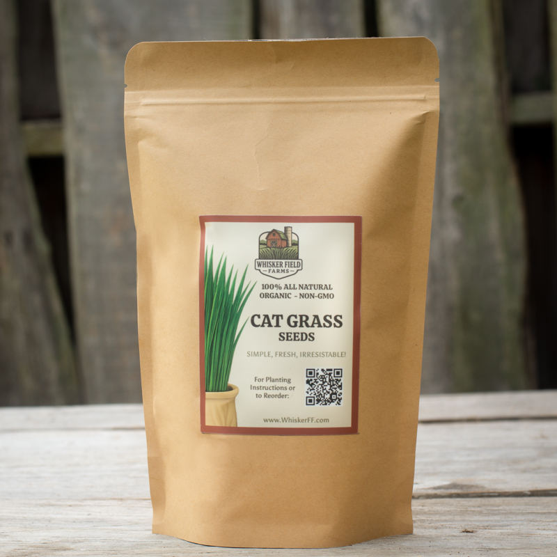 Cat grass seeds in a bulk pack.